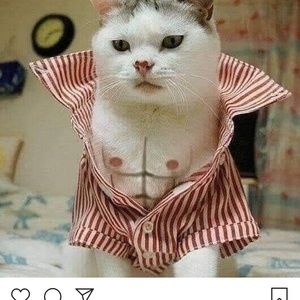 Meet your Posher, Anabel